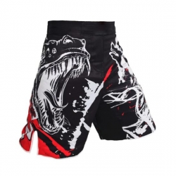 Boxing Shorts